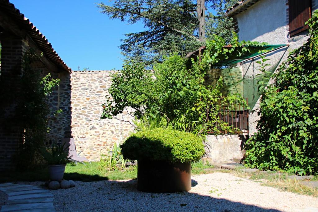 La Ferme Ranc - Gite Le Cosy Gagnières Exterior foto